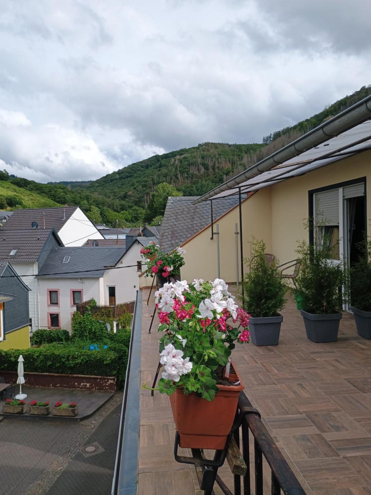 Gasthof Zur Grafschaft Veldenz ภายนอก รูปภาพ