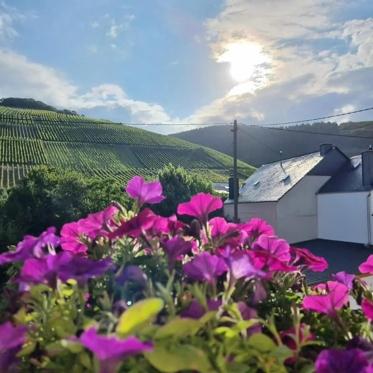 Gasthof Zur Grafschaft Veldenz ภายนอก รูปภาพ